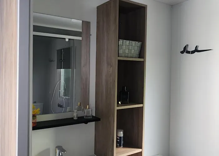 Kamp alanı Mobil-Home Climatise De 40M2 A 800M De La Plage *